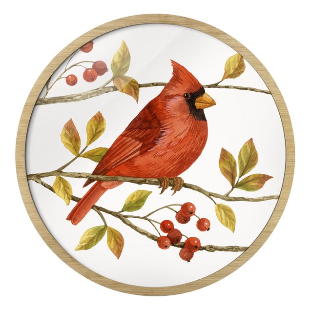 Retro photo prints Birds And Berries - Northern Cardinal