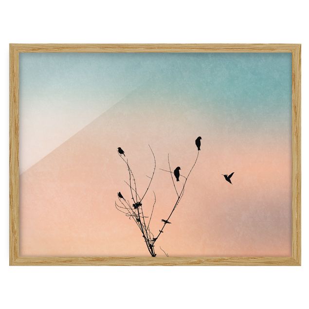 Prints animals Birds In Front Of Rose Sun II