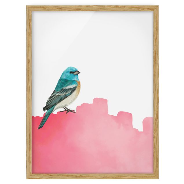 Animal framed pictures Bird On Pink Backdrop
