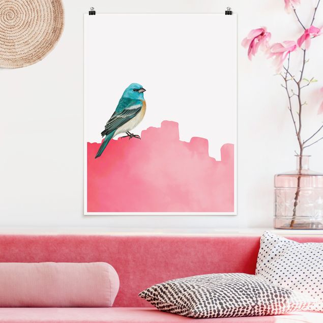 Kitchen Bird On Pink Backdrop