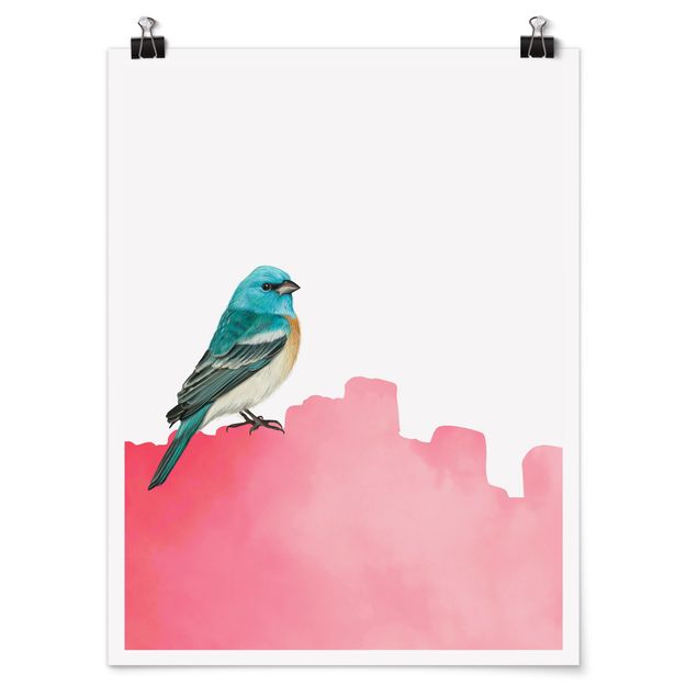 Posters animals Bird On Pink Backdrop