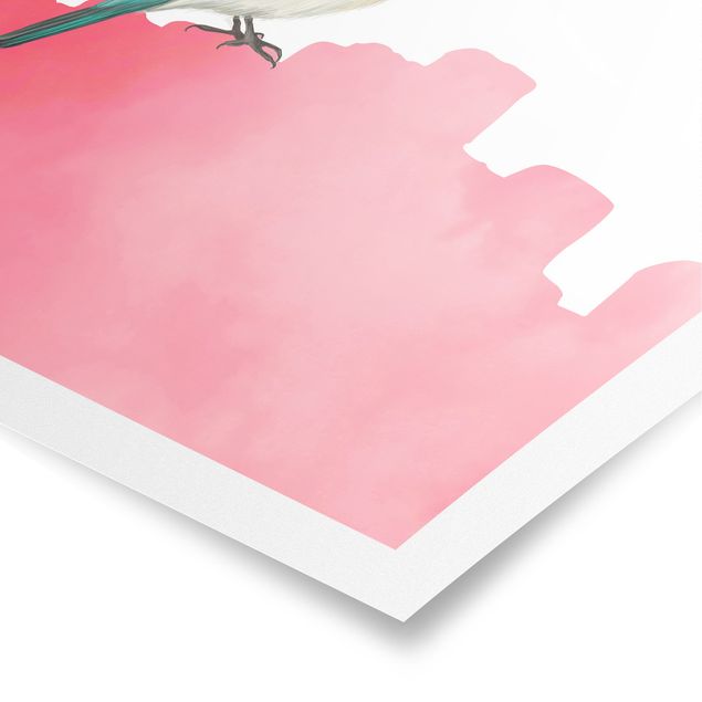 Prints Bird On Pink Backdrop