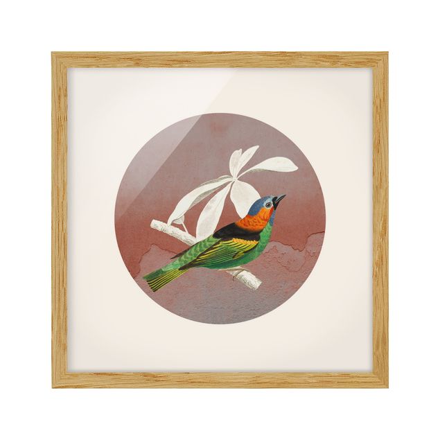 Framed animal prints Bird Collage In A Circle ll