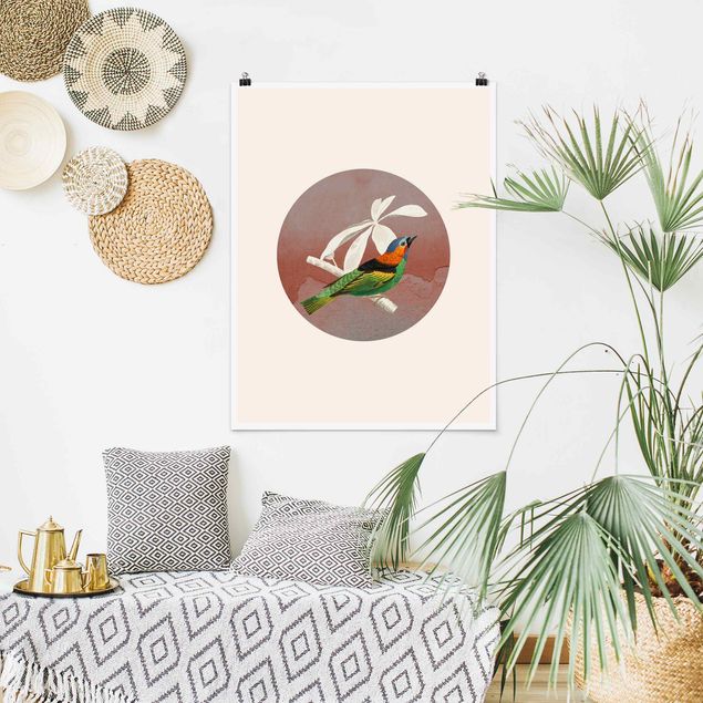 Animal canvas Bird Collage In A Circle ll