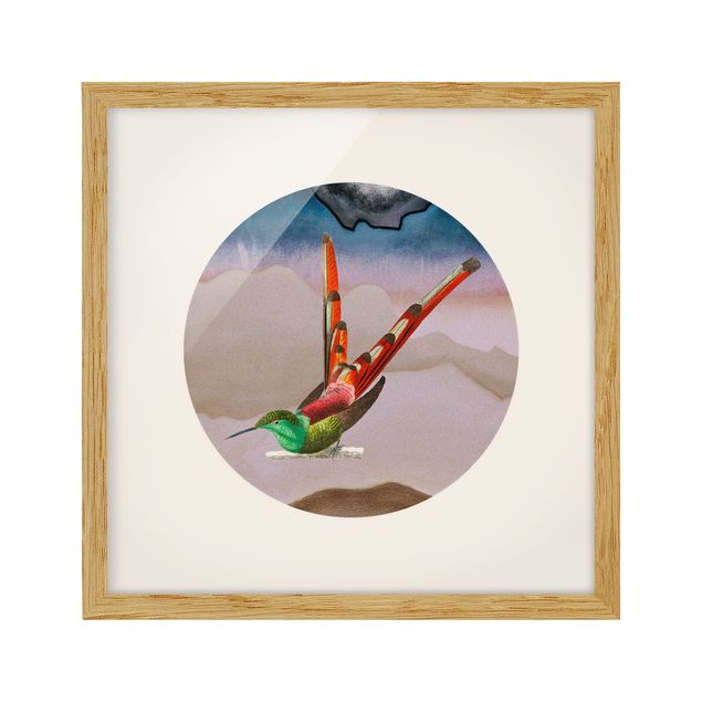 Framed prints animals Bird Collage In A Circle
