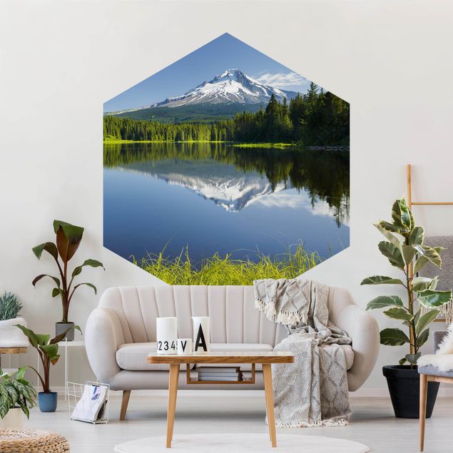 Wallpapers forest Volcano With Water Reflection