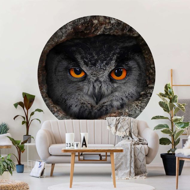 Wallpapers birds Watching Owl