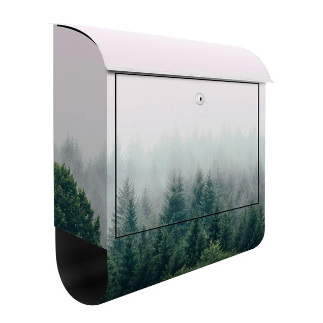 Letterboxes landscape Foggy Forest Twilight