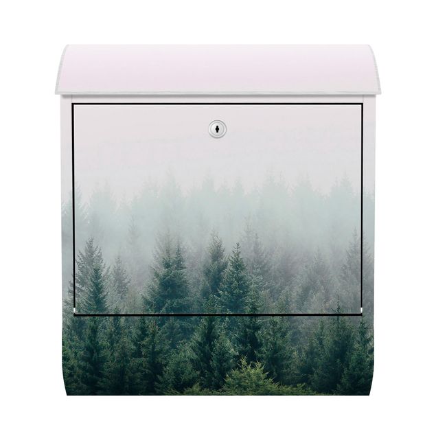 Green post box Foggy Forest Twilight
