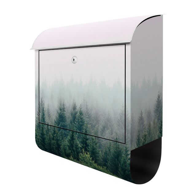 Letterboxes Foggy Forest Twilight