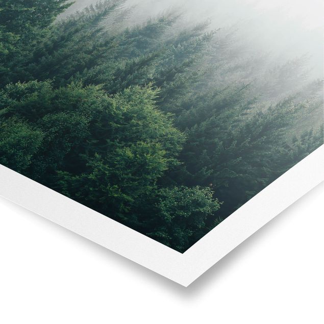 Landscape poster prints Foggy Forest Twilight