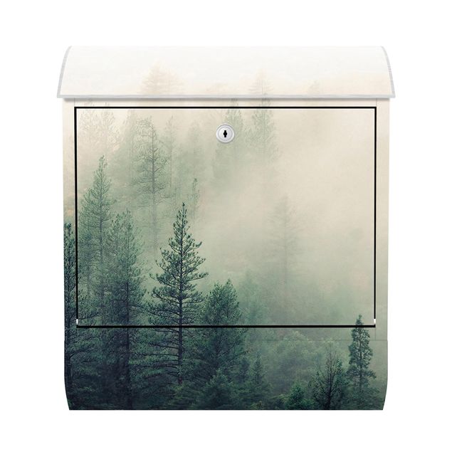 Letterboxes green Foggy Forest Awakening