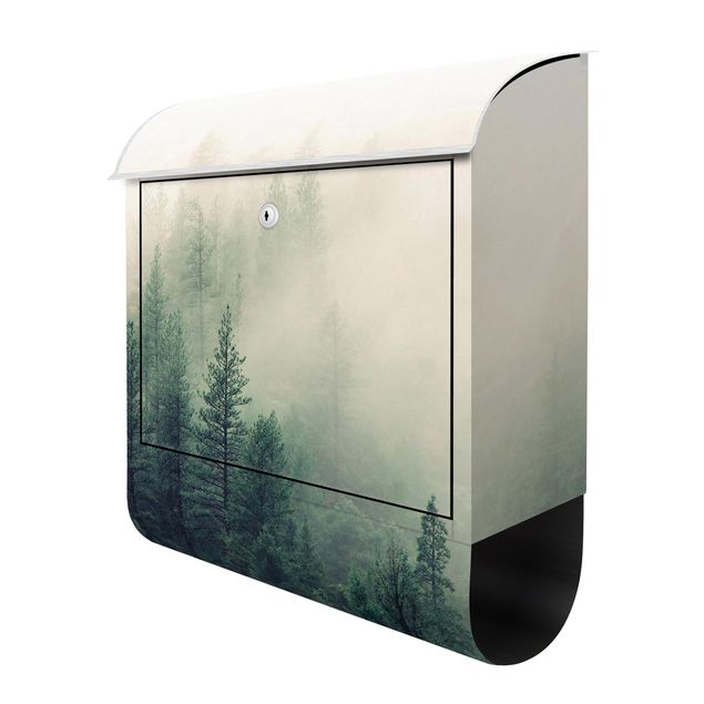 Letterboxes Foggy Forest Awakening