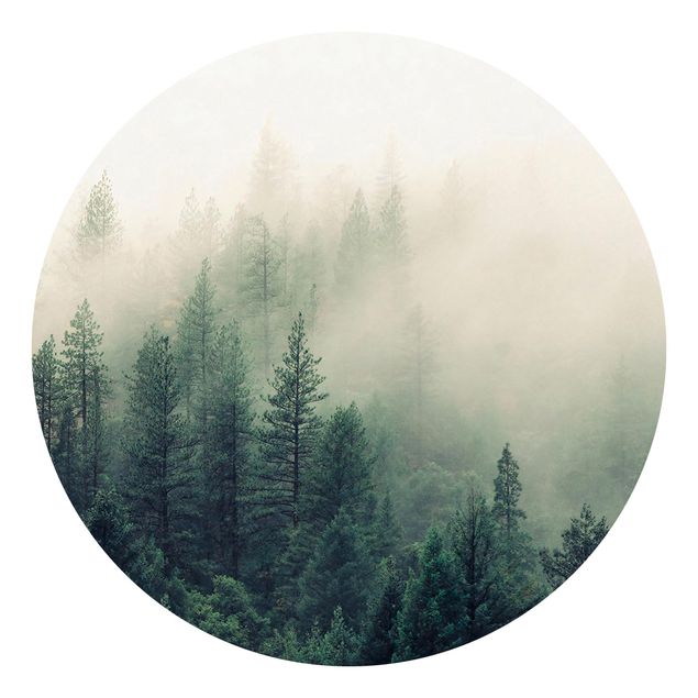Self adhesive wallpapers Foggy Forest Awakening
