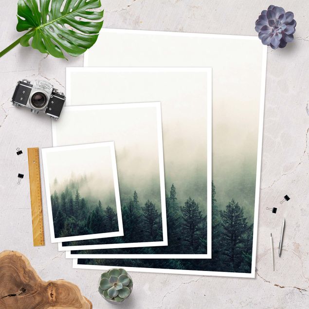 Prints Foggy Forest Awakening