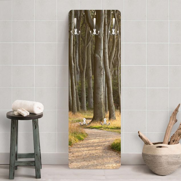 Wall mounted coat rack landscape Forest Road In Northern Germany