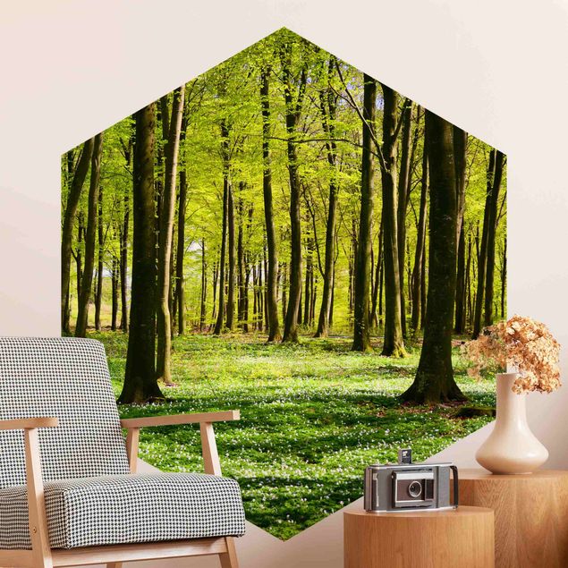 Contemporary wallpaper Forest Meadow