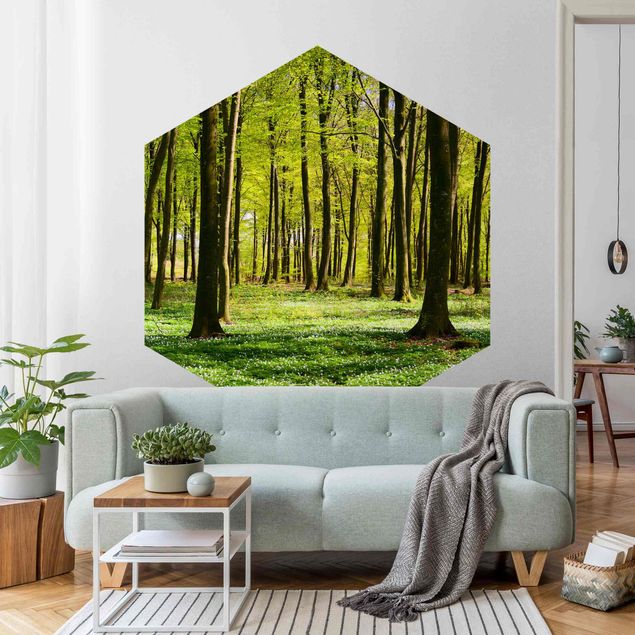 Rainforest wallpaper Forest Meadow