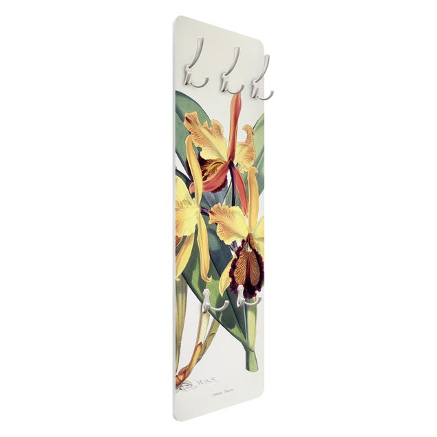 Canvas Art Walter Hood Fitch - Orchid