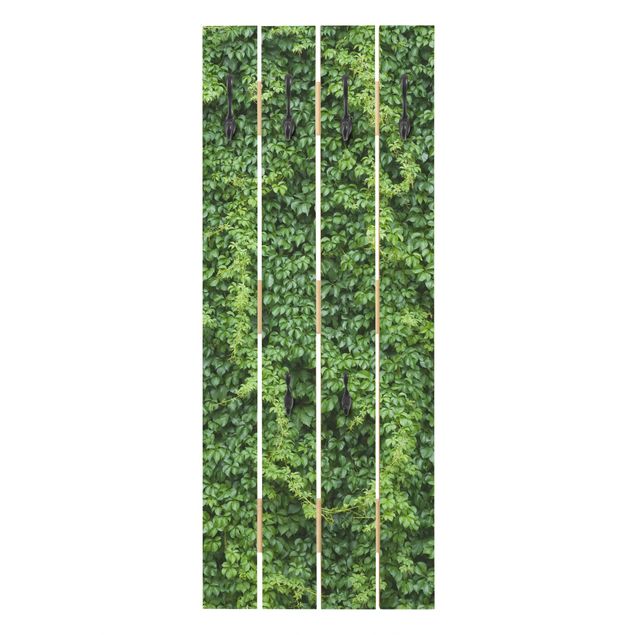 Wall mounted coat rack green Ivy