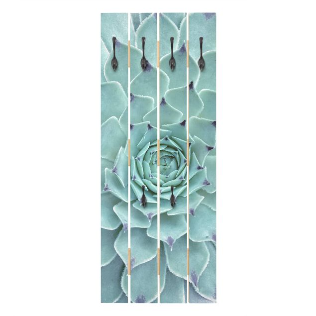 Wall coat hanger Cactus Agave