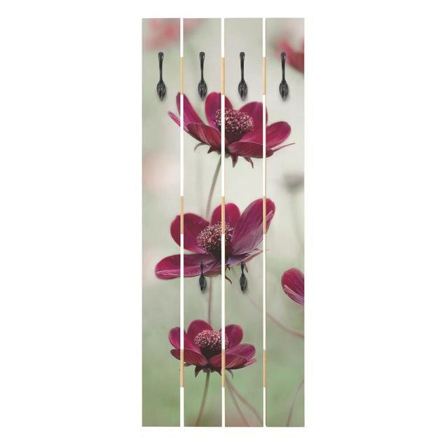 Wall mounted coat rack Pink Cosmos Flower
