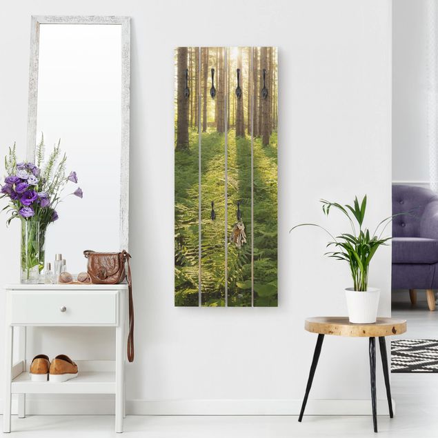 Wall mounted coat rack wood Sun Rays In Green Forest
