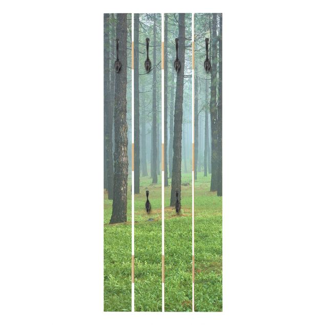 Green coat rack Deep Forest With Pine Trees On La Palma