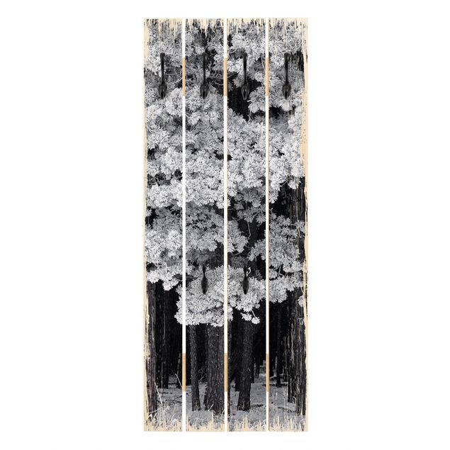 Wall mounted coat rack landscape Forest With Hoarfrost In Austria