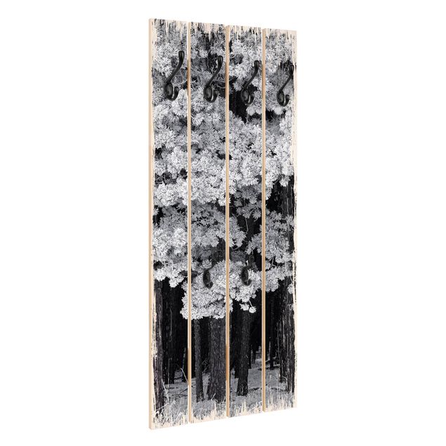 Wooden wall mounted coat rack Forest With Hoarfrost In Austria
