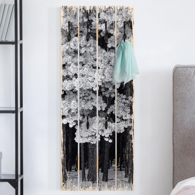 Wall mounted coat rack black and white Forest With Hoarfrost In Austria