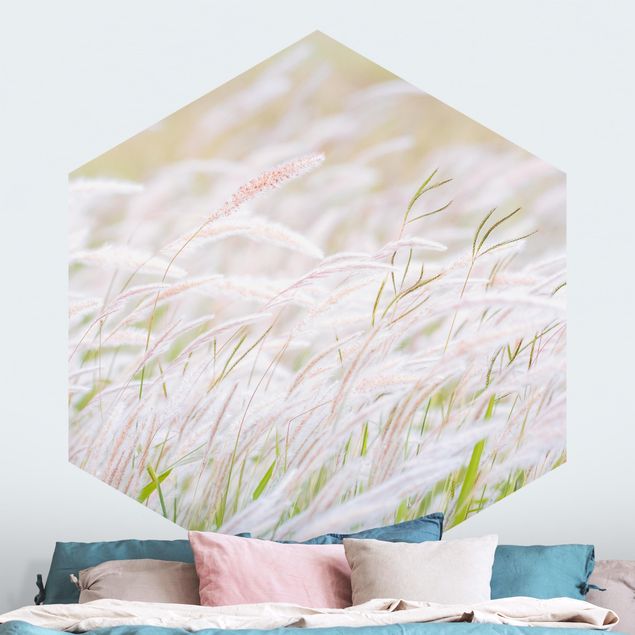 Wallpapers flower Soft Grasses