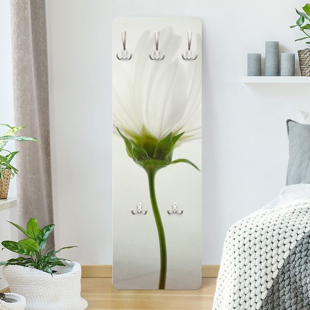 Wall mounted coat rack flower White Cosmos