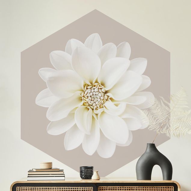 Floral wallpaper White Dahlia On Cream