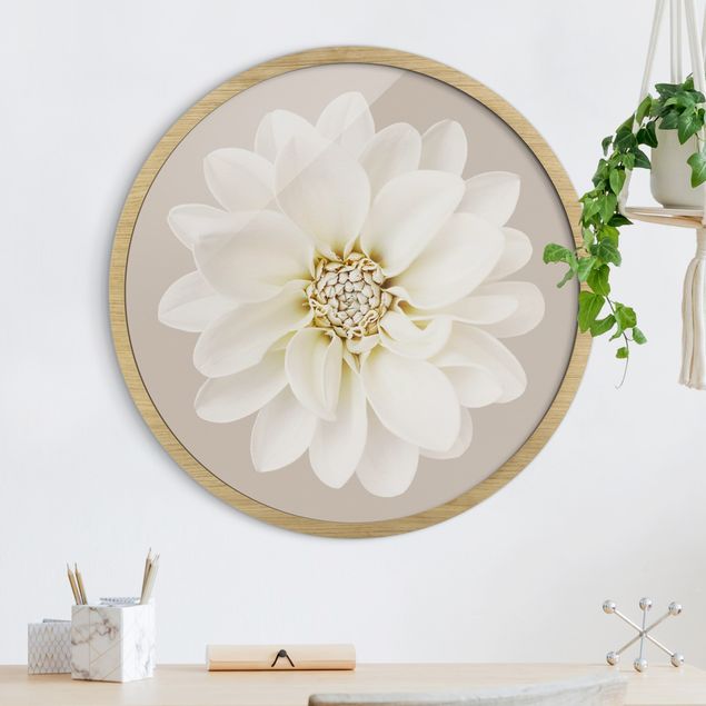 Flower print White Dahlia On Cream
