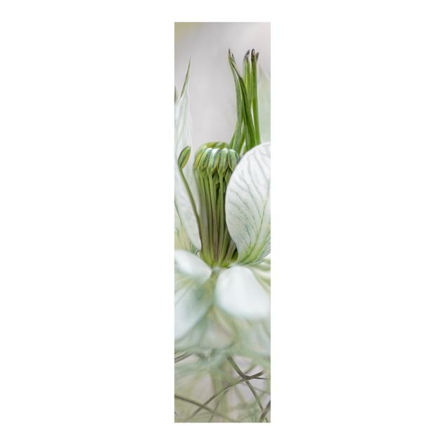Sliding panel curtains flower White Nigella