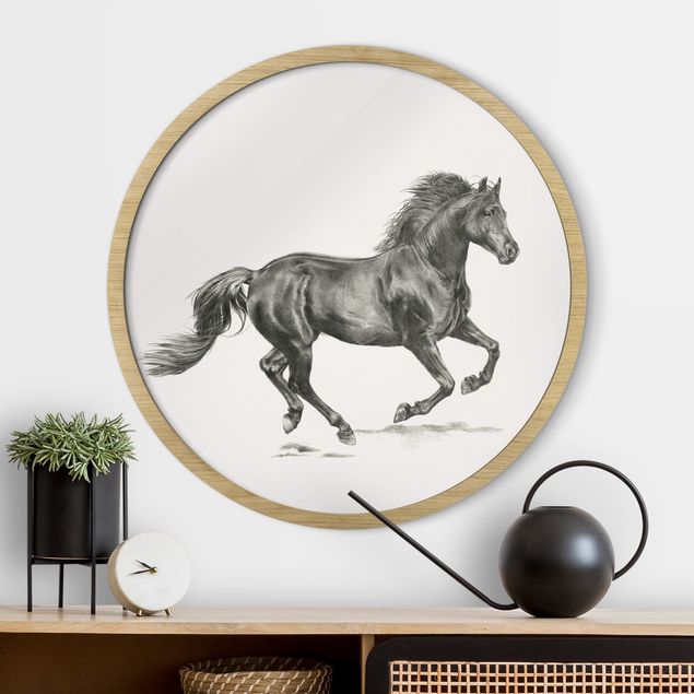 Kids room decor Study Of Wild Horses - Stallion