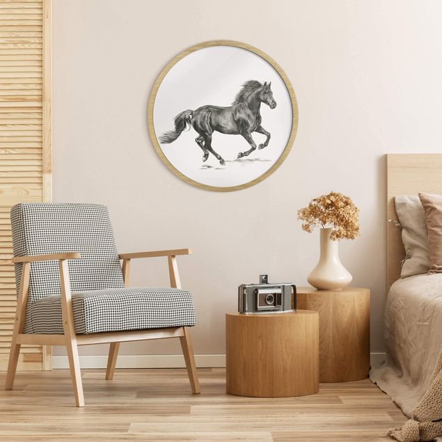 Animal wall art Study Of Wild Horses - Stallion
