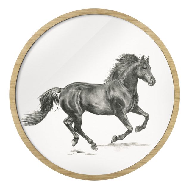 Contemporary art prints Study Of Wild Horses - Stallion