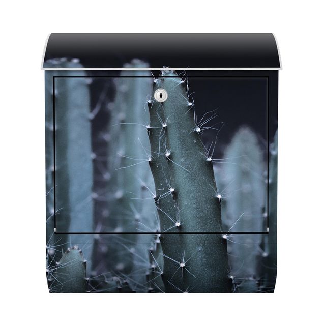 Black metal letterbox Desert Cactus At Night