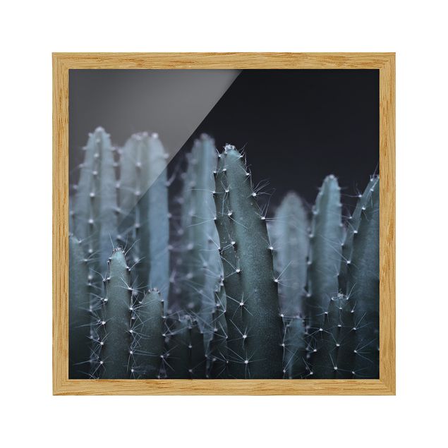Framed floral Desert Cactus At Night