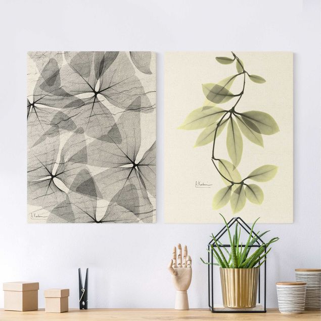 Prints floral X-Ray - False Shamrock And Hoya Leaves