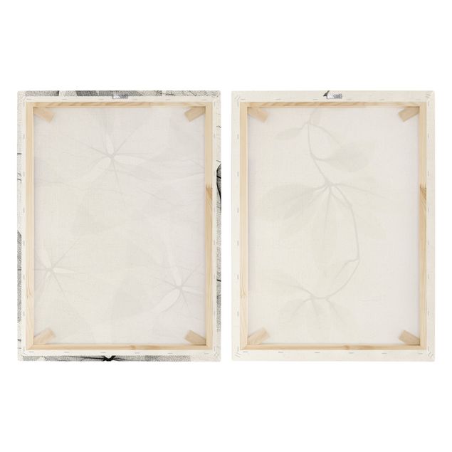 Print on canvas - X-Ray - False Shamrock And Hoya Leaves