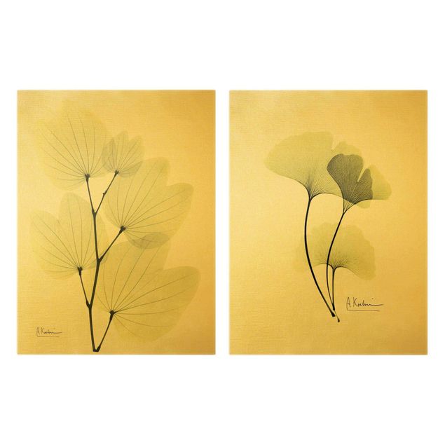 Contemporary art prints X-Ray - Orchid Tree Leaves & Ginkgo