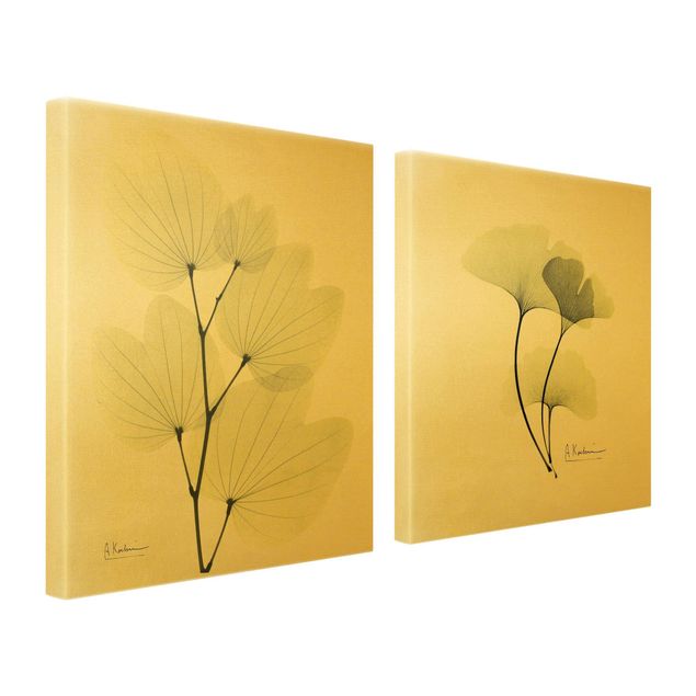 Green canvas wall art X-Ray - Orchid Tree Leaves & Ginkgo