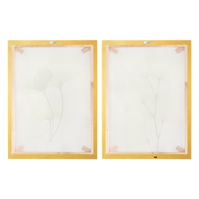 Canvas wall art X-Ray - Orchid Tree Leaves & Ginkgo