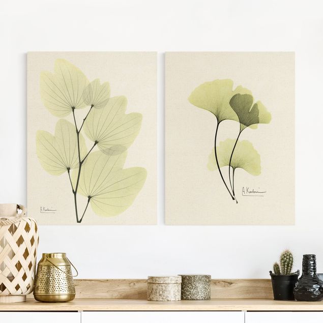 Orchid print X-Ray - Orchid Tree Leaves & Ginkgo