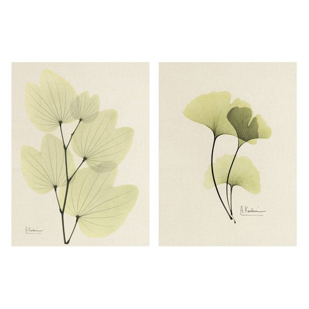 Contemporary art prints X-Ray - Orchid Tree Leaves & Ginkgo