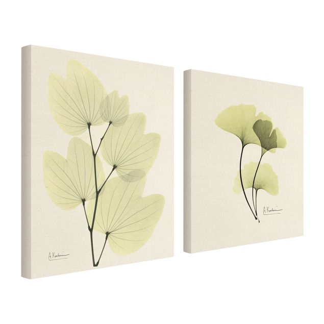 Green canvas wall art X-Ray - Orchid Tree Leaves & Ginkgo