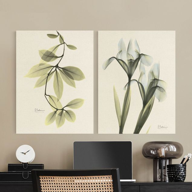 Prints green X-Ray - Hoya Leaves & Iris